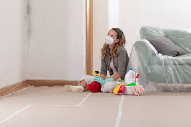 Reliable Mold Remediation contractor in Grand Ledge, MI by Cheap Mold Removal